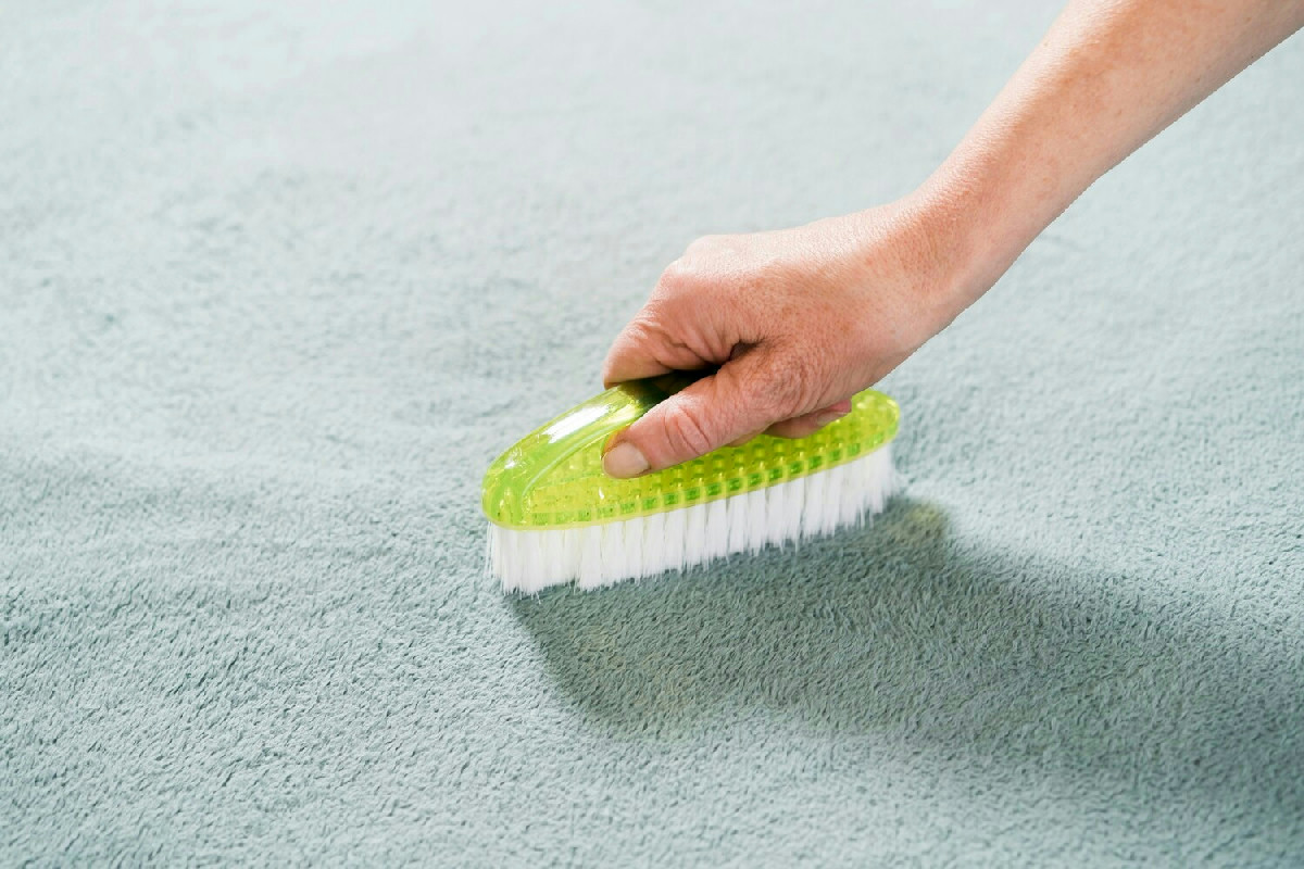 Zerbino macchiato e bagnato dopo la passeggiata? Ecco come farlo tornare impeccabile subito